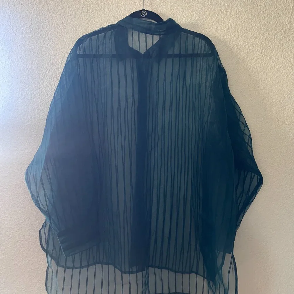 DR2 Sheer Striped Oversize Blouse - Picture 2 of 2